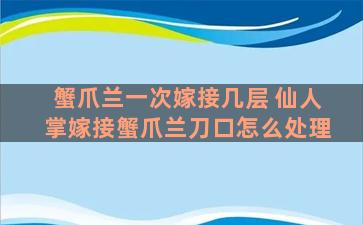 蟹爪兰一次嫁接几层 仙人掌嫁接蟹爪兰刀口怎么处理